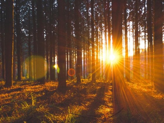 Tips for Forgiving, Forgetting, and Moving On