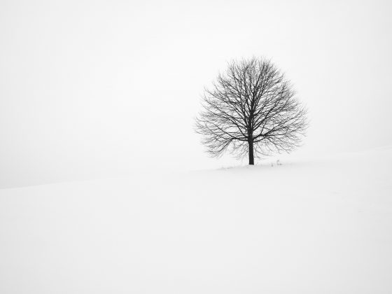 Mindfulness Positivity Winter 2020