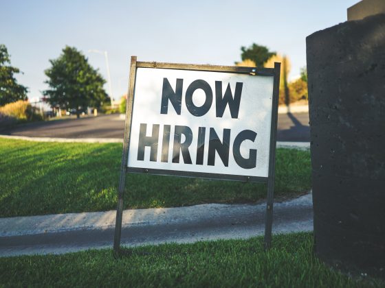 Mindful Job Searching