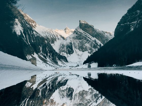 January Reflection