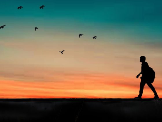 Caring for Yourself_ The 7 Elements