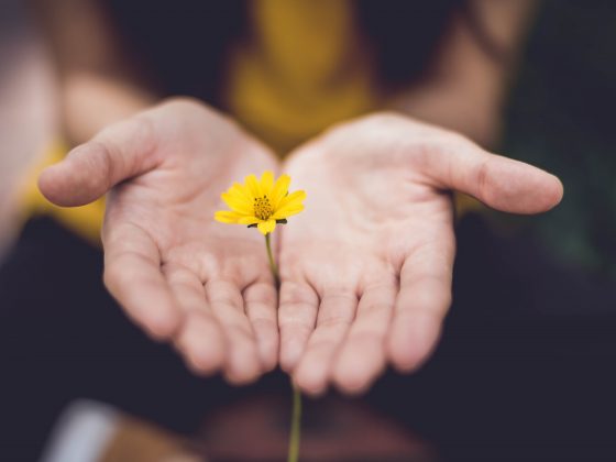 Learning to Forgive and Forget