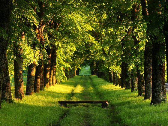 places to seek a moments peace
