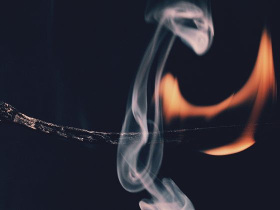 flame, Neil Seligman