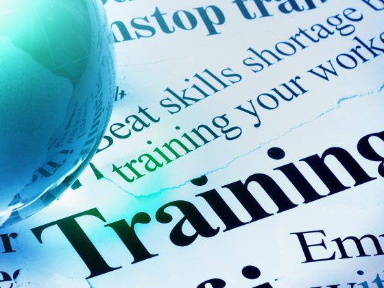 Reasons to Learn and Diversify in the Workplace