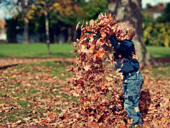 Gratitude: Things to Look Forward to This Autumn
