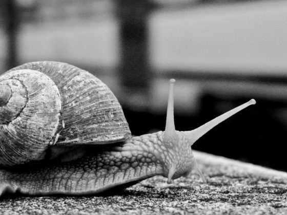 Slow Down to Speed Up
